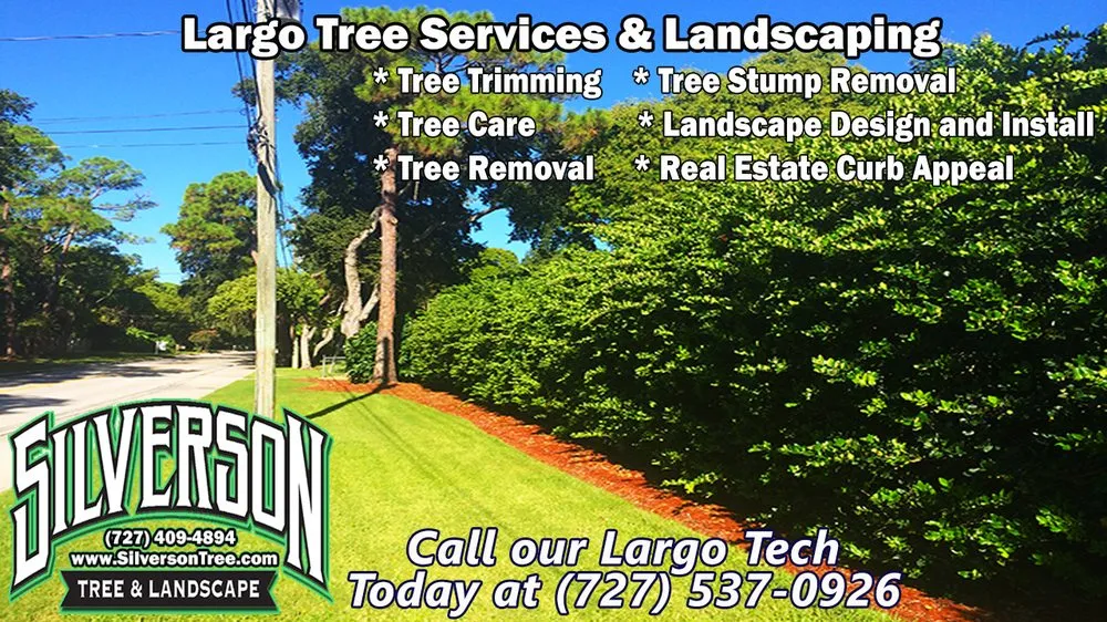 Reliable landscape design in Largo, FL by Silverson Tree Service & Landscaping