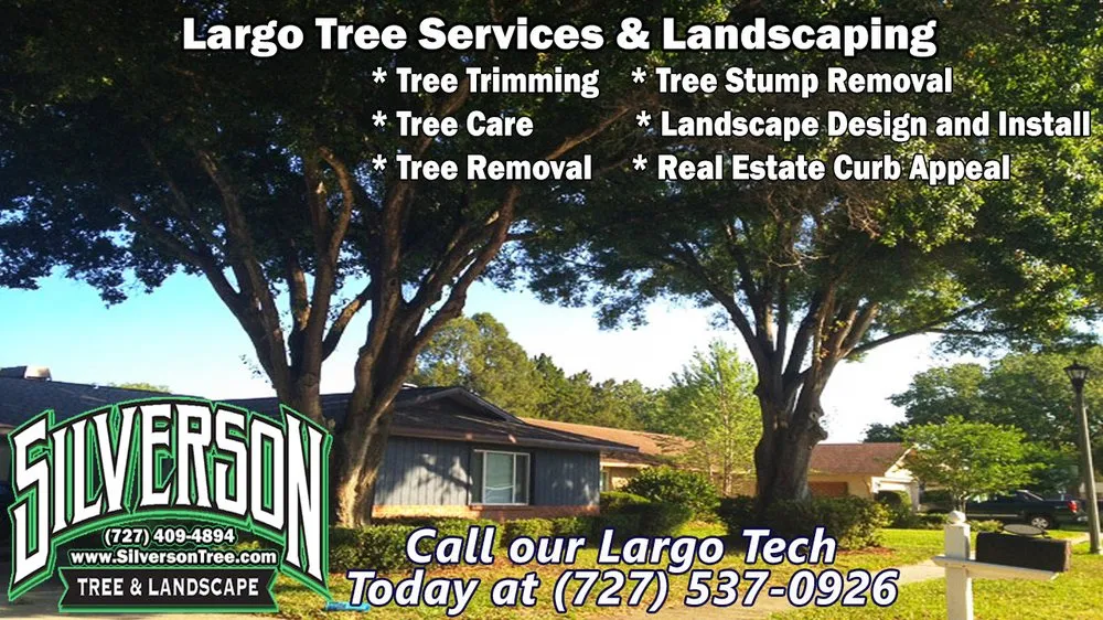 Top-rated garden landscaping in Largo, FL by Silverson Tree Service & Landscaping