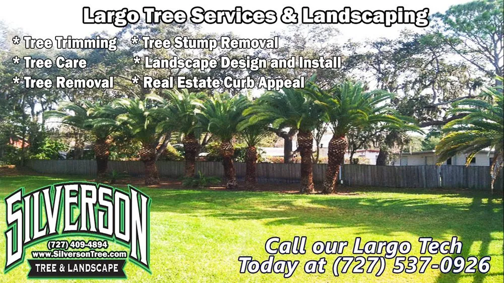 Custom yard maintenance in Largo, FL - Silverson Tree Service & Landscaping