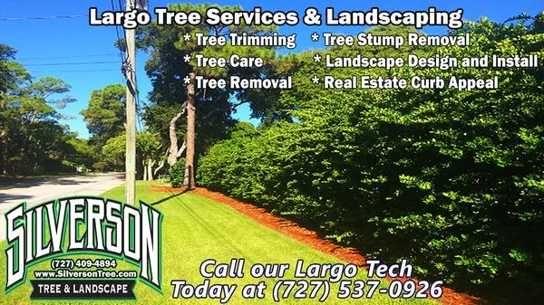 Silverson Tree Service & Landscaping Logo