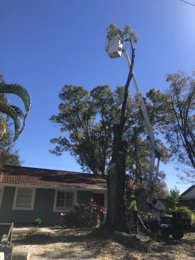 Expert garden landscaping in Saint Petersburg, FL - Silverson Tree Services & Landscaping