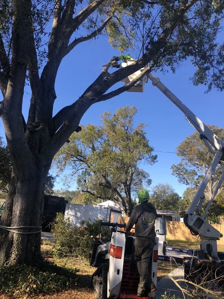 Custom lawn care service in Saint Petersburg, FL - Silverson Tree Services & Landscaping