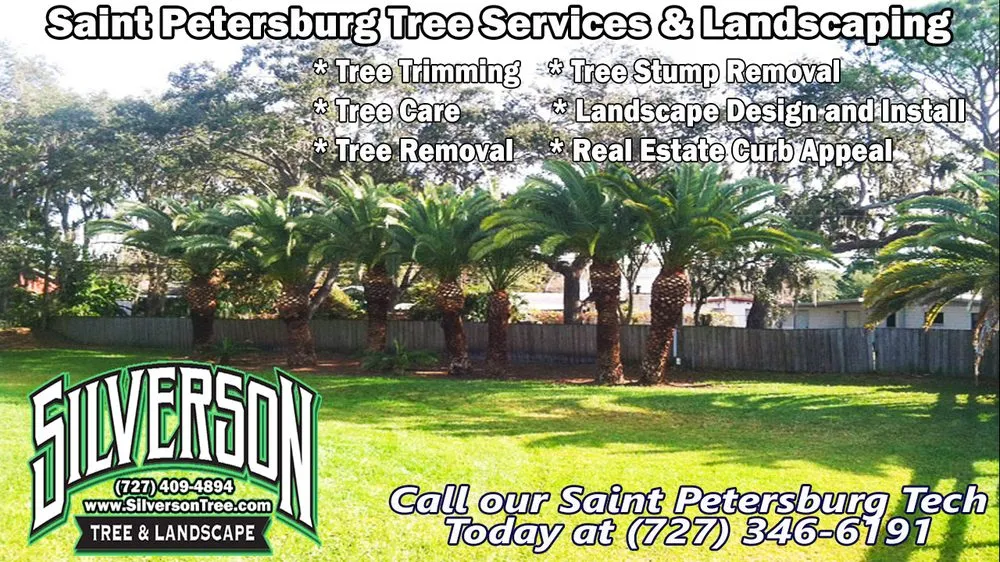 Professional yard maintenance in Saint Petersburg, FL by Silverson Tree Services & Landscaping