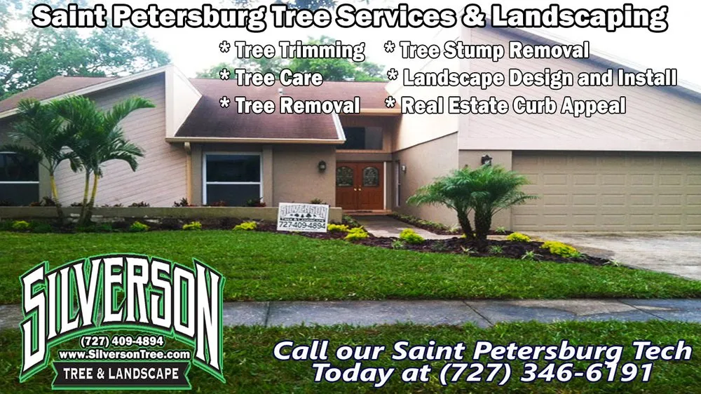 Reliable lawn care service for homes in Saint Petersburg, FL by Silverson Tree Services & Landscaping