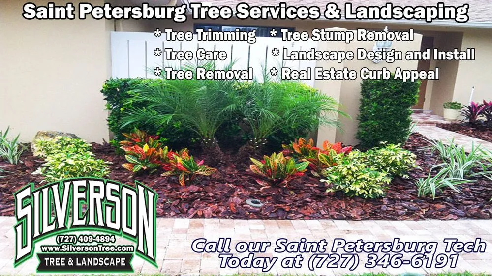 Local landscaping services in Saint Petersburg, FL by Silverson Tree Services & Landscaping