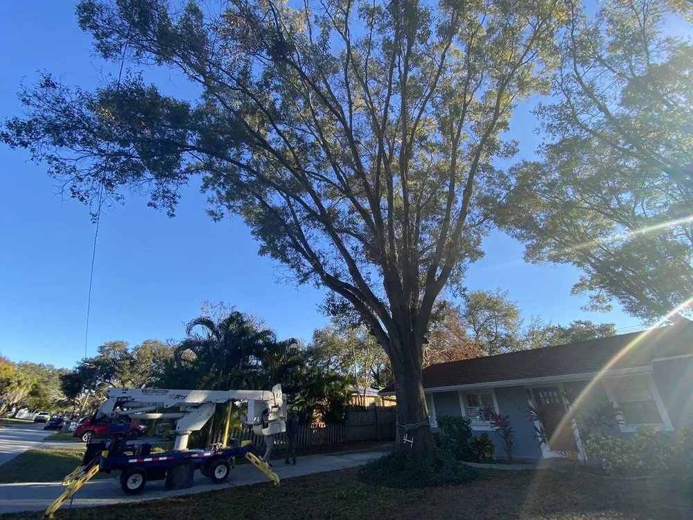 Affordable landscape design in Saint Petersburg, FL by Silverson Tree Services & Landscaping