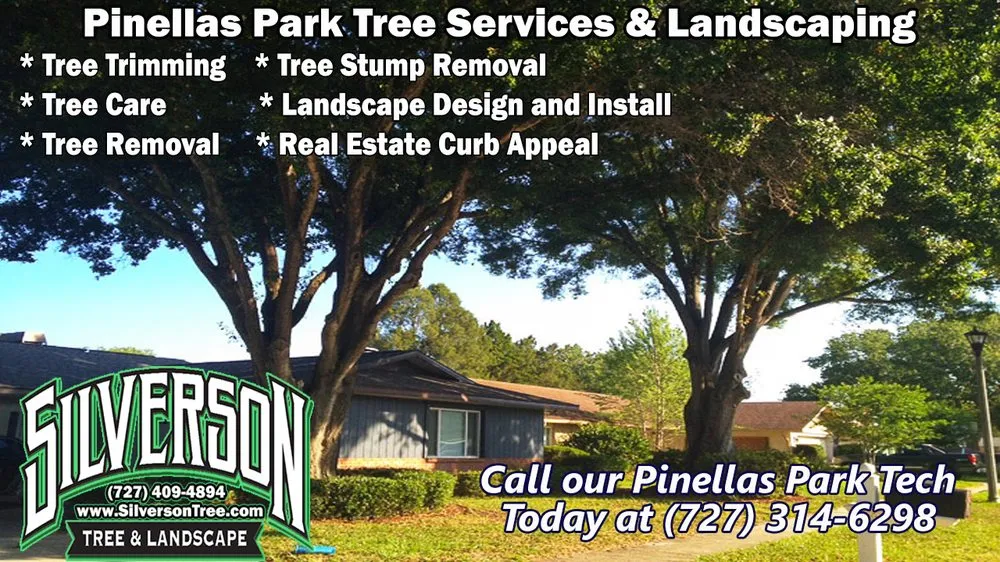 Custom yard cleanup service experts serving Seminole, FL - Silverson Tree Services & Landscaping