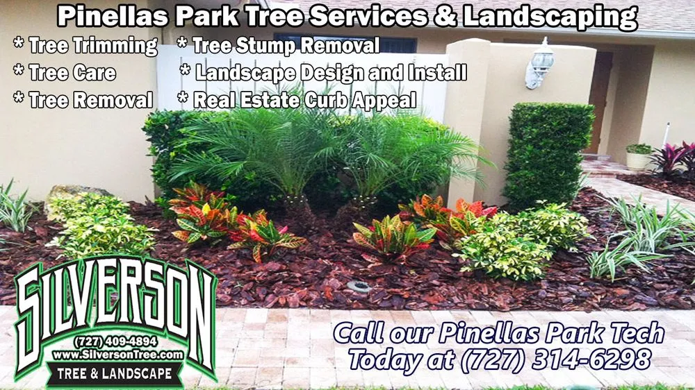Expert landscaping services experts serving Seminole, FL - Silverson Tree Services & Landscaping