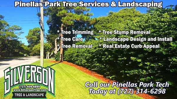 Silverson Tree Services & Landscaping