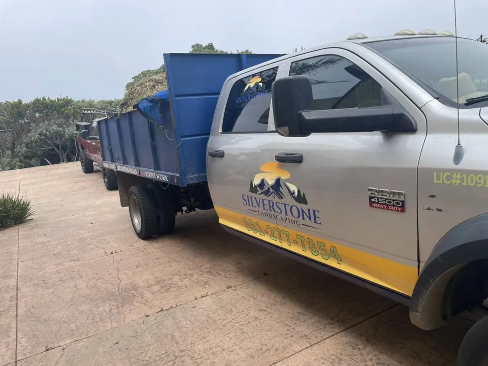 Expert yard cleanup service for outdoor upgrades in Salinas, CA by Silverstone Landscaping & Tree Services