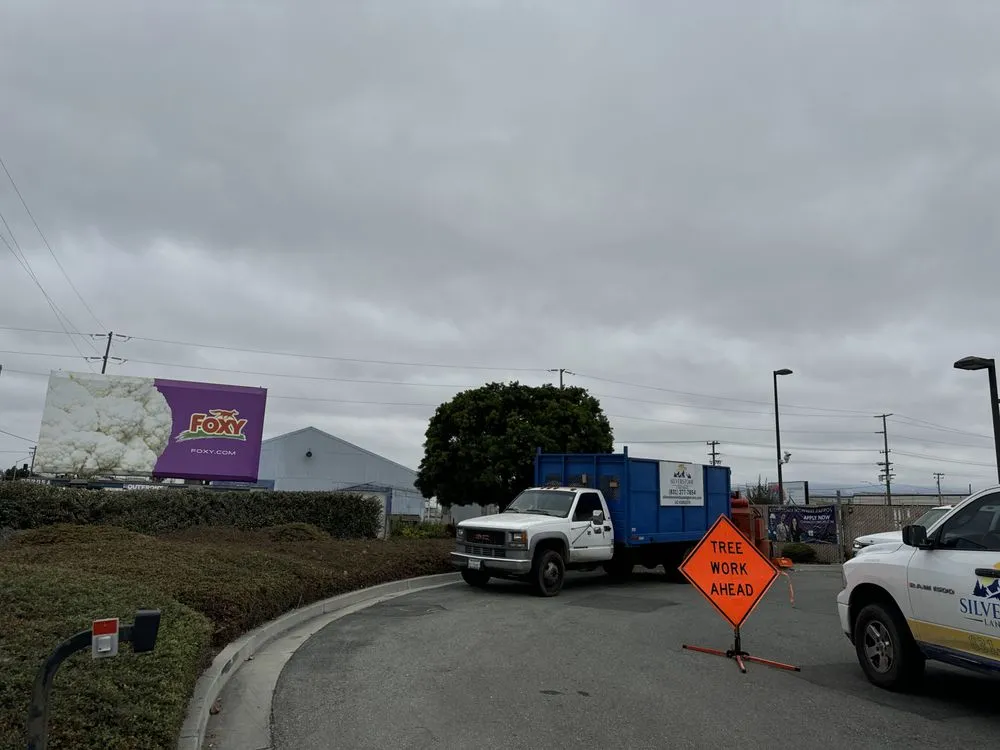 Custom lawn care service in Salinas, CA by Silverstone Landscaping & Tree Services