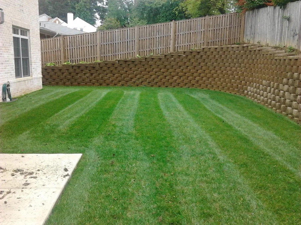 Custom yard maintenance for year-round maintenance in Vienna, VA by Silvestre Lawn Care