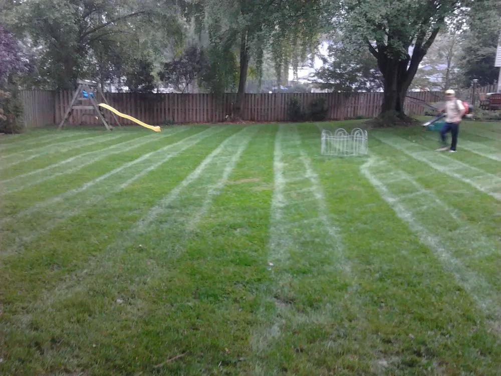 Reliable lawn mowing service experts serving Vienna, VA - Silvestre Lawn Care