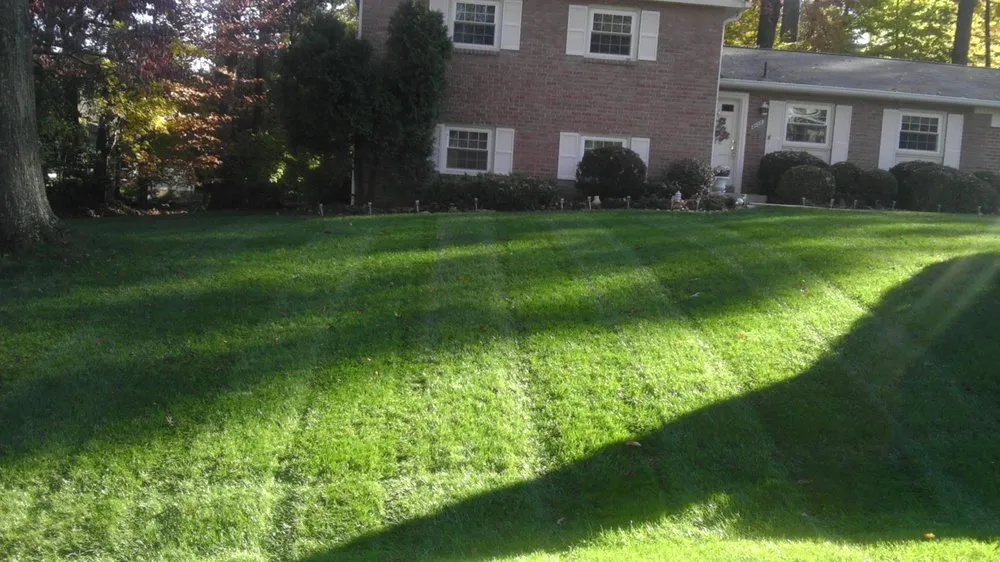 Custom garden landscaping in Vienna, VA by Silvestre Lawn Care