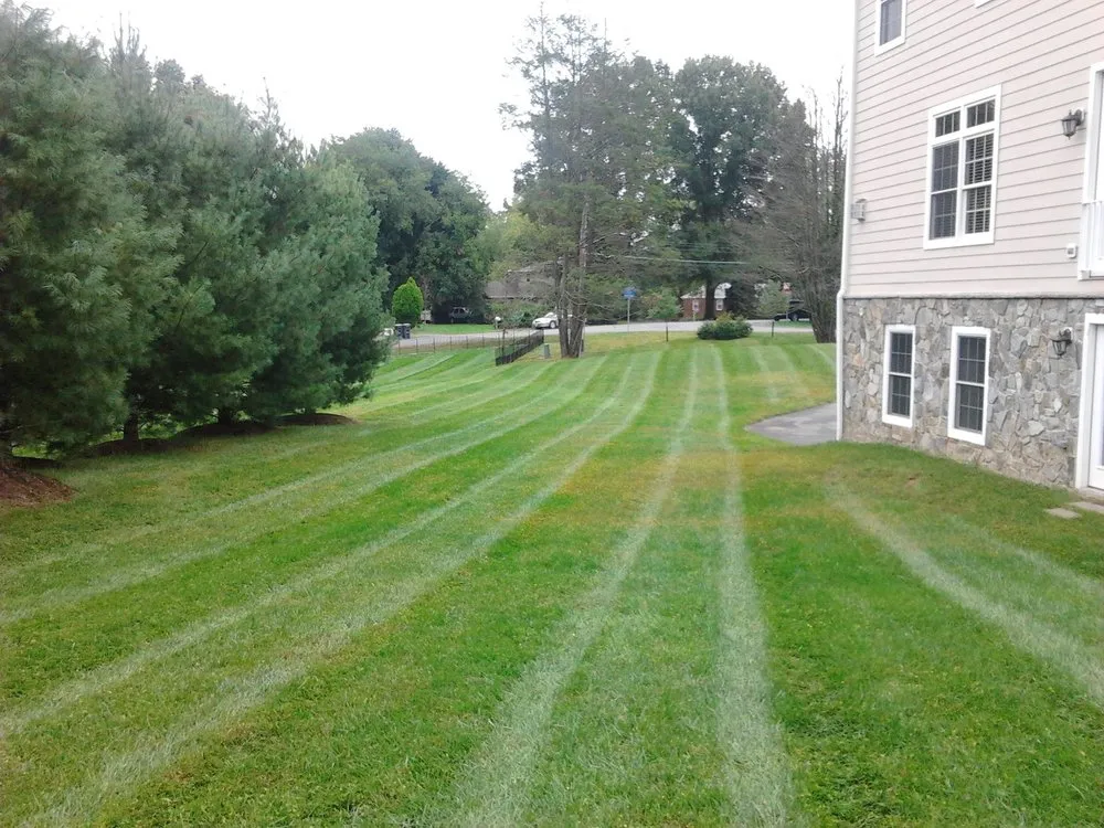 Custom landscaping services for year-round maintenance across Vienna, VA - Silvestre Lawn Care