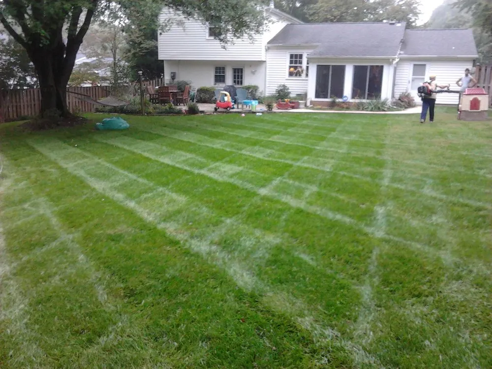 Local lawn care service in Vienna, VA - Silvestre Lawn Care
