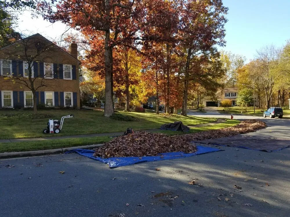 Top-rated yard cleanup service with custom design across Vienna, VA - Silvestre Lawn Care