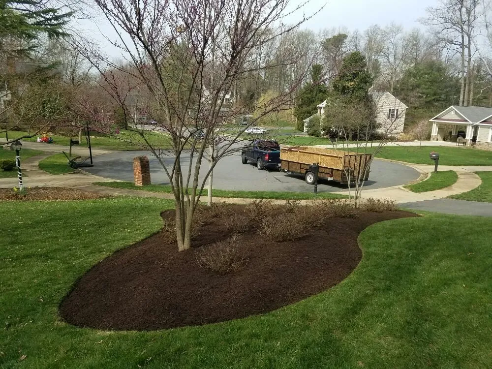 Trusted lawn mowing service experts serving Vienna, VA - Silvestre Lawn Care