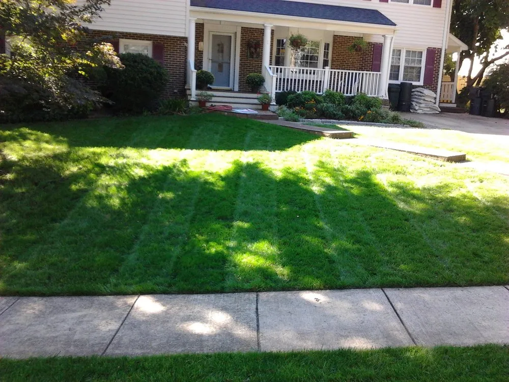 Top-rated yard cleanup service for homes in Vienna, VA by Silvestre Lawn Care