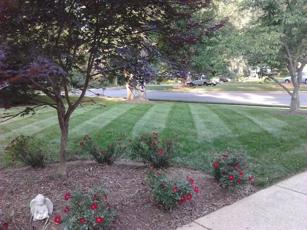 Expert yard maintenance for year-round maintenance in Vienna, VA by Silvestre Lawn Care