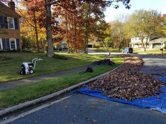 Silvestre Lawn Care Logo