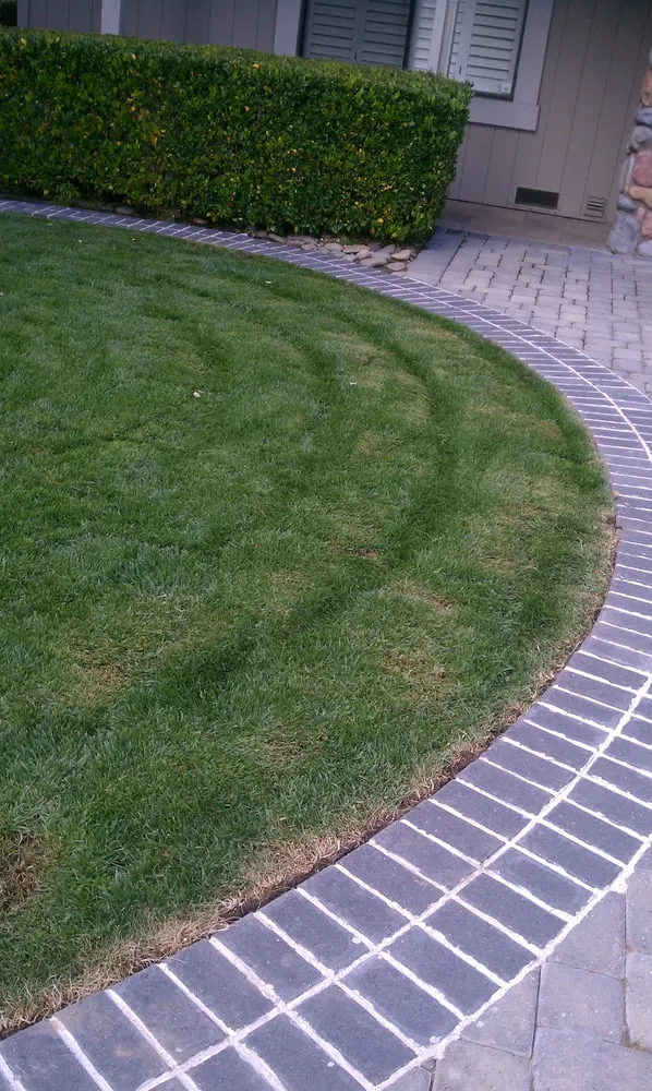Reliable lawn care service in Morgan Hill, CA - Silvestres Gardens