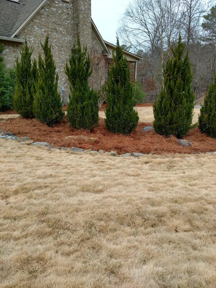 Top-rated landscape installation experts serving Bessemer, AL - Silvestri Landscape