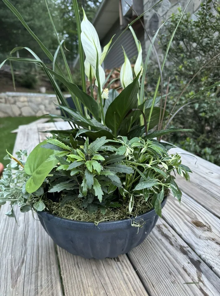 Top-rated lawn care service for year-round maintenance across Mount Kisco, NY - Silvio R J Landscaping