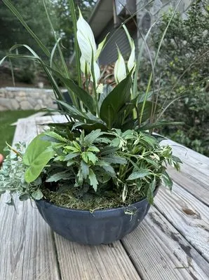 Silvio R J Landscaping Logo