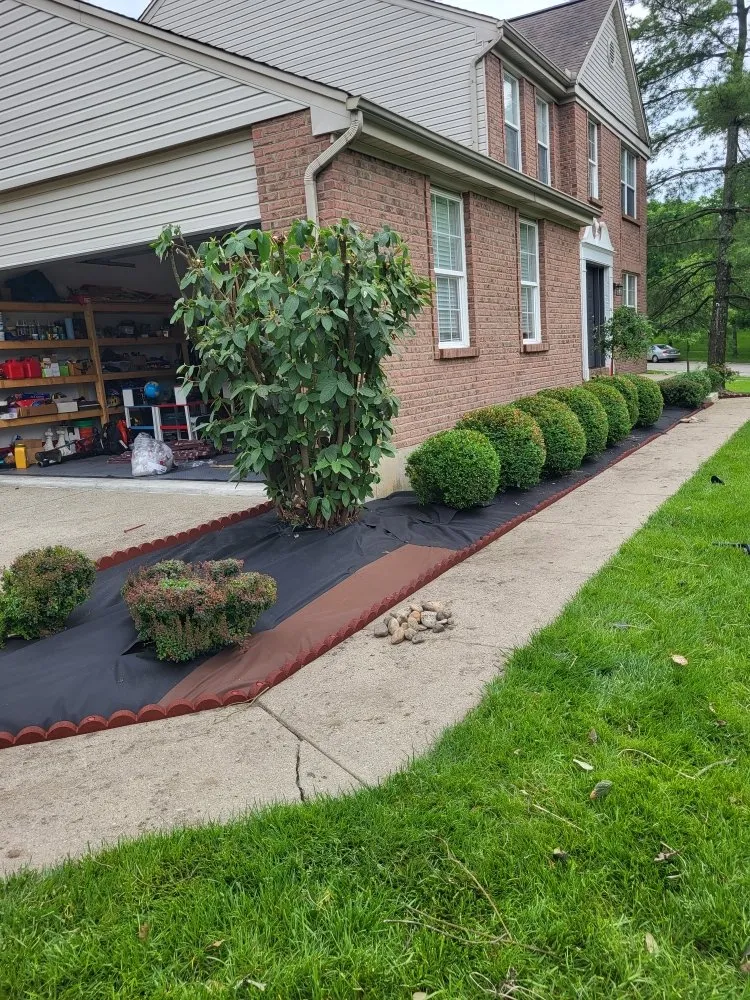 Expert yard maintenance experts serving Cincinnati, OH - Silvios Landscaping