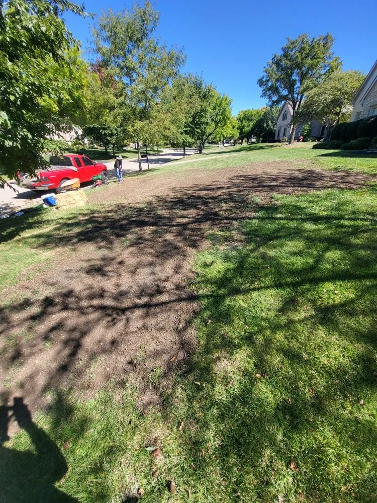 Top-rated landscaping services experts serving Cincinnati, OH - Silvios Landscaping