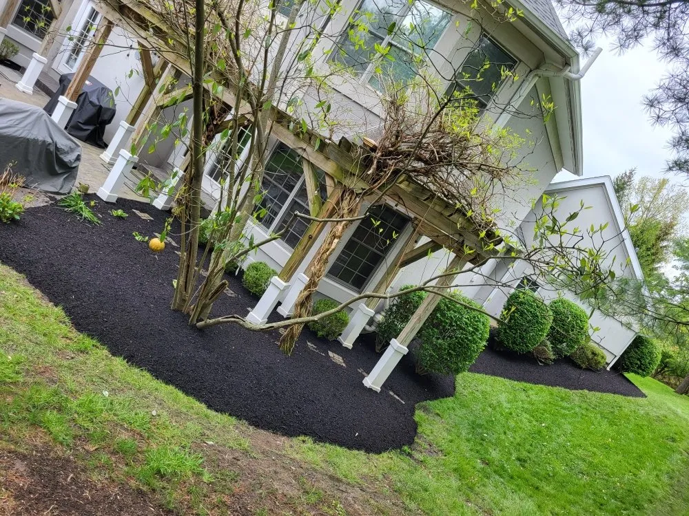 Professional yard cleanup service for outdoor upgrades across Cincinnati, OH - Silvios Landscaping
