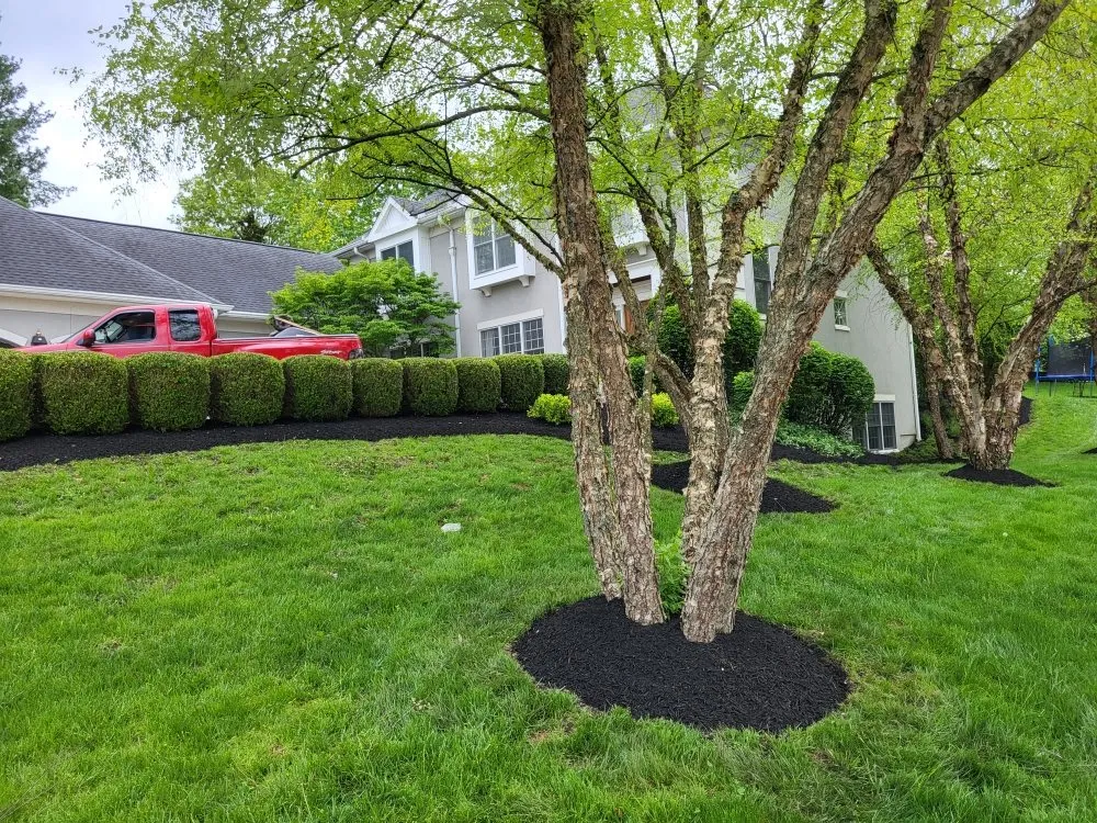 Professional outdoor landscaping for outdoor upgrades across Cincinnati, OH - Silvios Landscaping