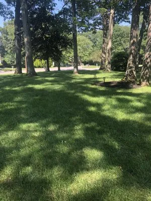 Silvy’s Lawn Care Logo