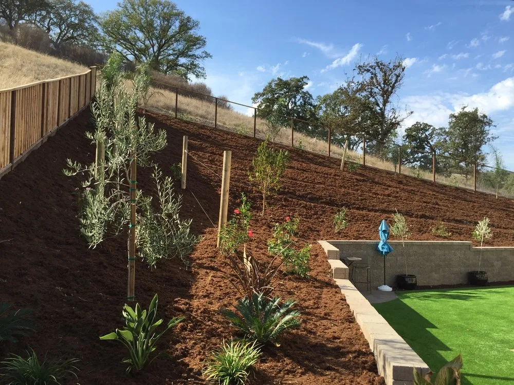 Local lawn care service experts serving Morgan Hill, CA - Simancas & Tamacas Landscape