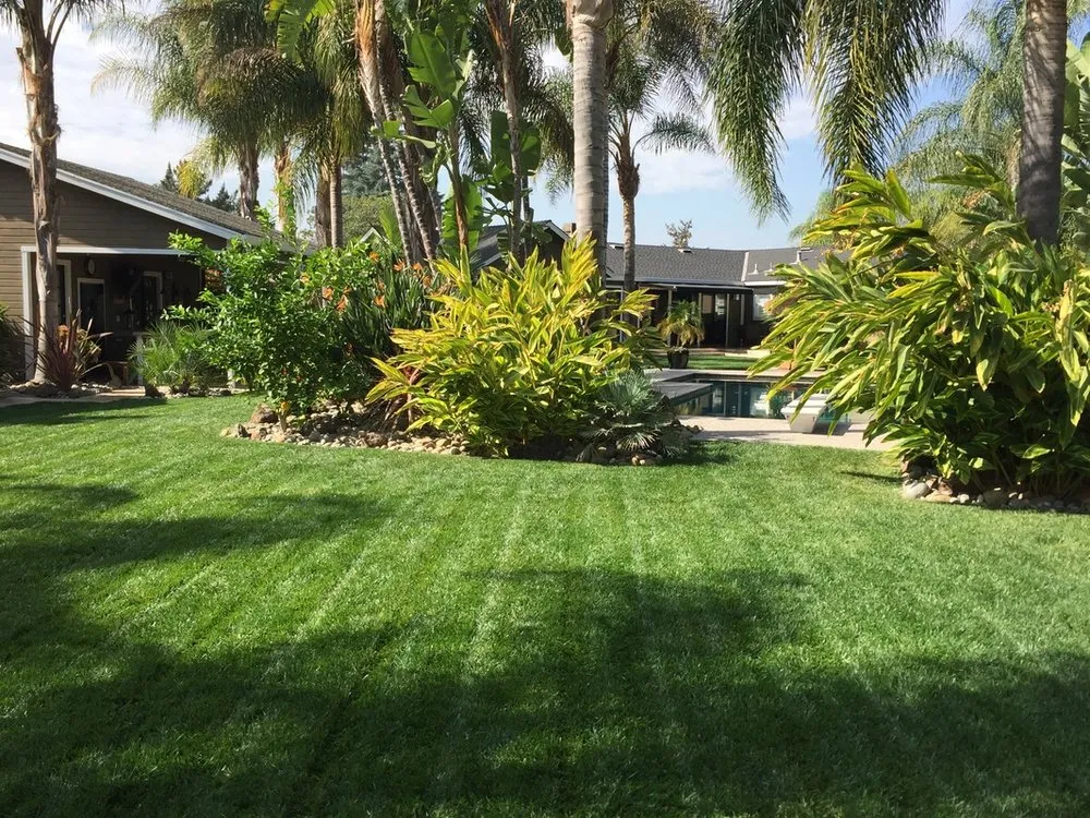 Expert residential landscaping near you across Morgan Hill, CA - Simancas & Tamacas Landscape