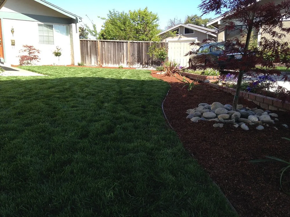 Professional yard cleanup service in Morgan Hill, CA - Simancas & Tamacas Landscape