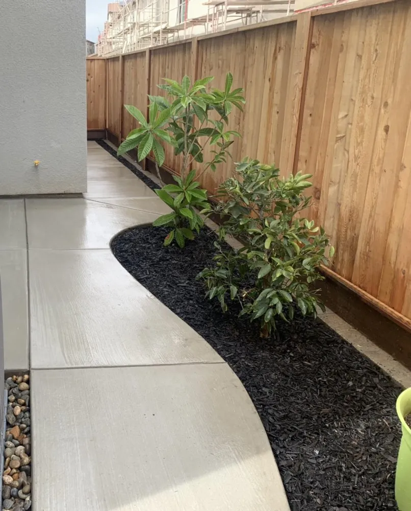 Expert landscaping services with custom design in Morgan Hill, CA by Simancas & Tamacas Landscape