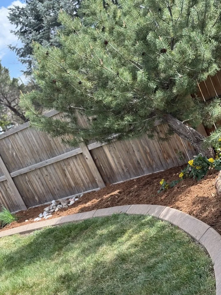 Professional yard maintenance in Greenwood Village, CO - Simental Landscape Services