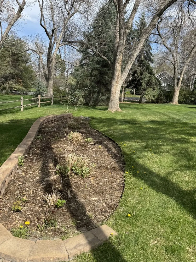 Trusted lawn care service in Greenwood Village, CO - Simental Landscape Services