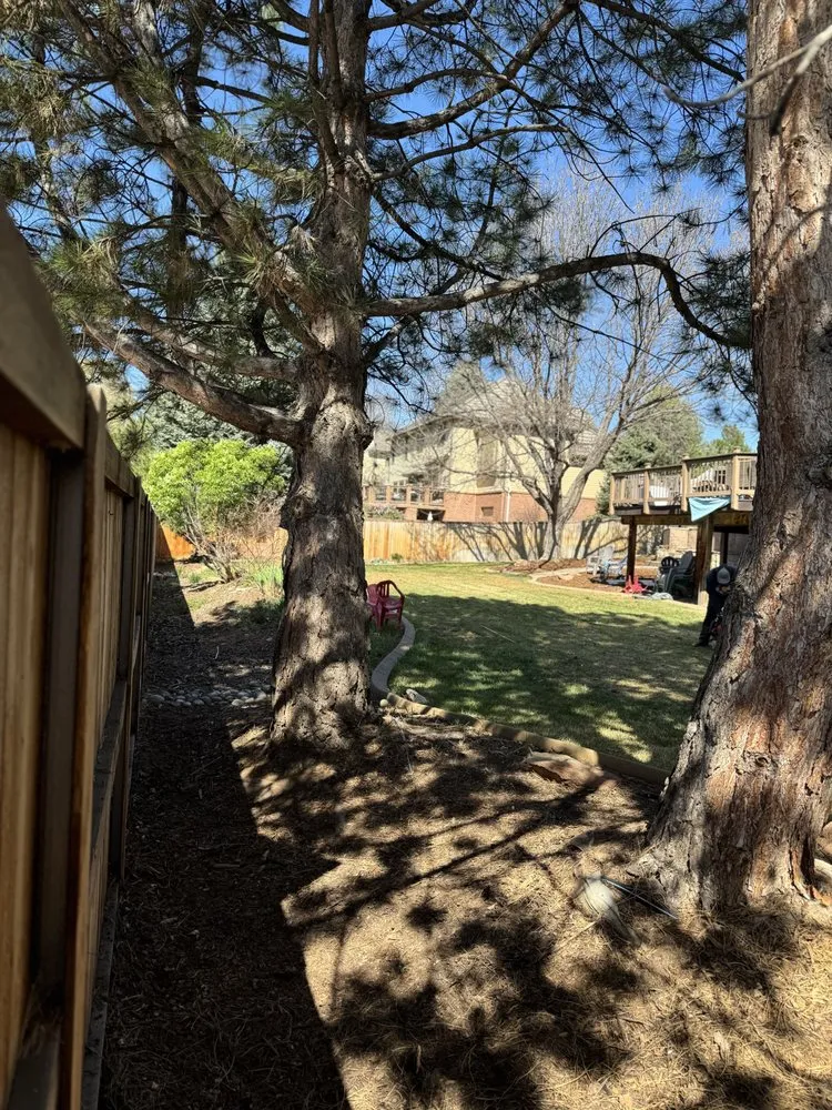 Professional garden landscaping experts serving Greenwood Village, CO - Simental Landscape Services