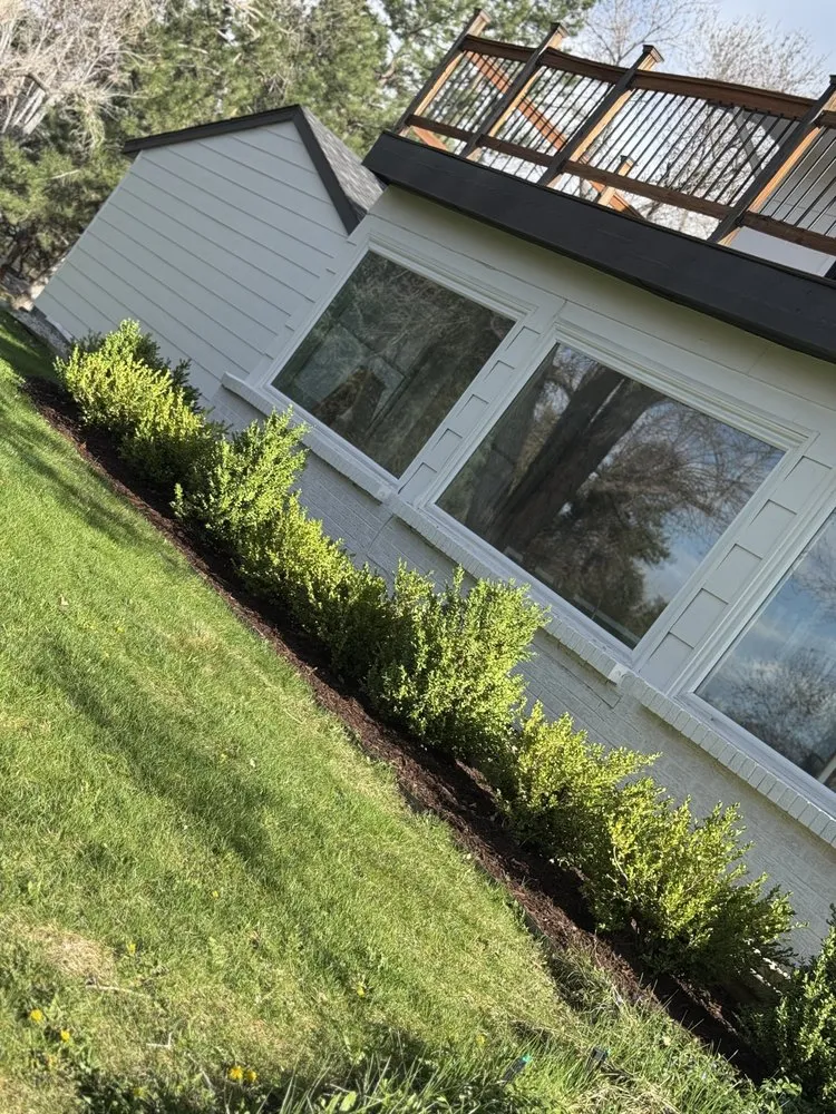 Top-rated yard cleanup service in Greenwood Village, CO by Simental Landscape Services