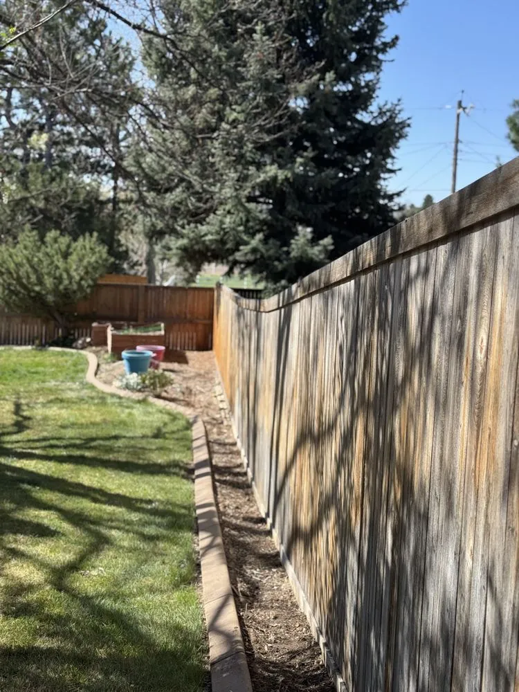 Reliable yard cleanup service in Greenwood Village, CO - Simental Landscape Services