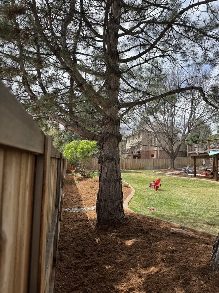 Expert yard maintenance experts serving Greenwood Village, CO - Simental Landscape Services