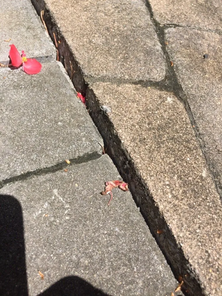 Reliable yard cleanup service in Newtown, PA by Simmen's Landscaping