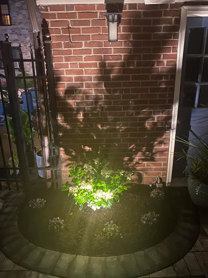 Professional yard cleanup service experts serving Newtown, PA - Simmen's Landscaping