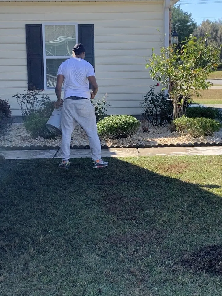 Affordable residential landscaping in Conway, SC - Simmie Bellamy Landscaping Service