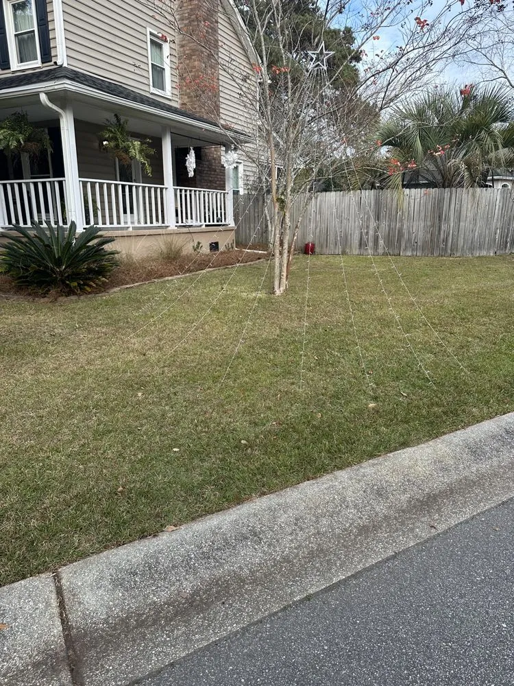 Top-rated landscape design experts serving Summerville, SC - Simmons & Sons