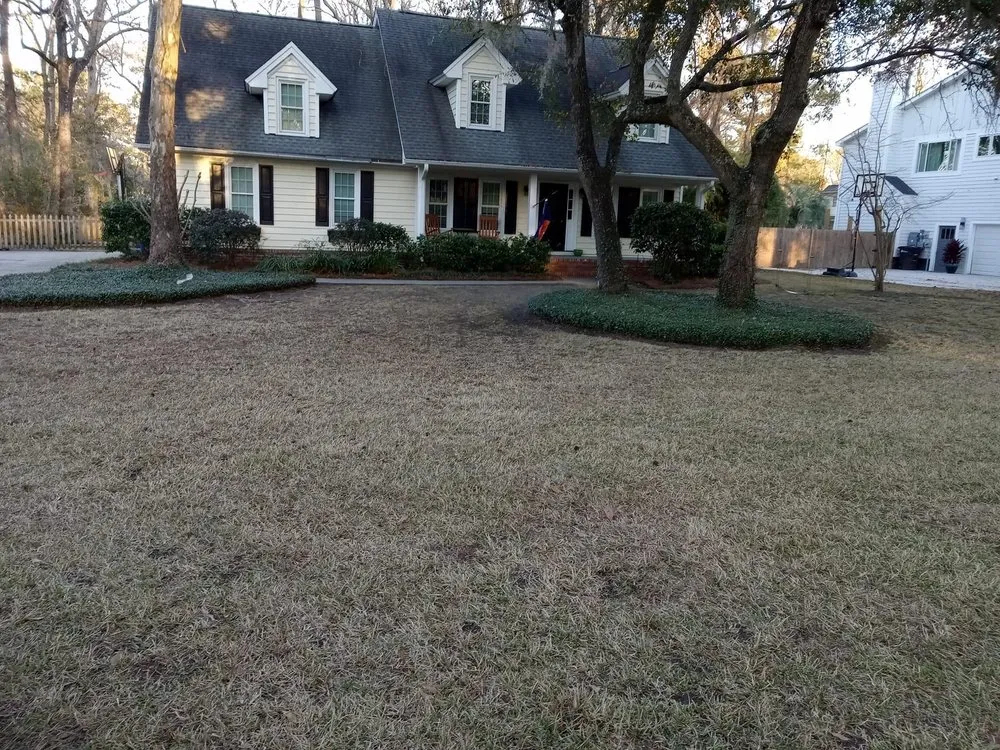 Local yard cleanup service in Summerville, SC - Simmons & Sons