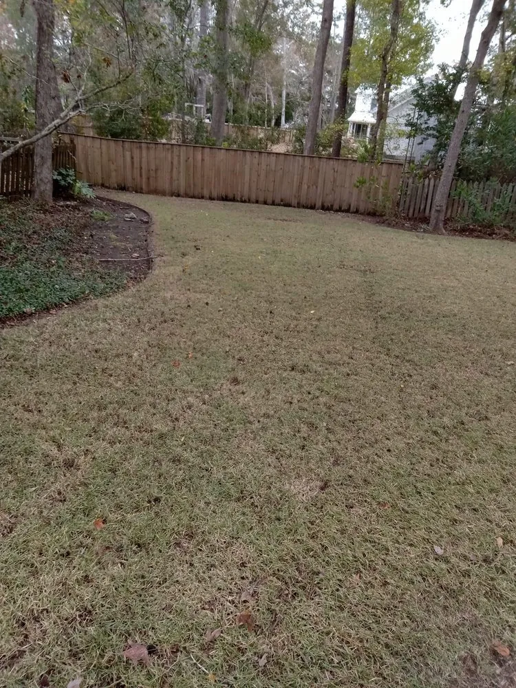 Reliable lawn care service in Summerville, SC - Simmons & Sons